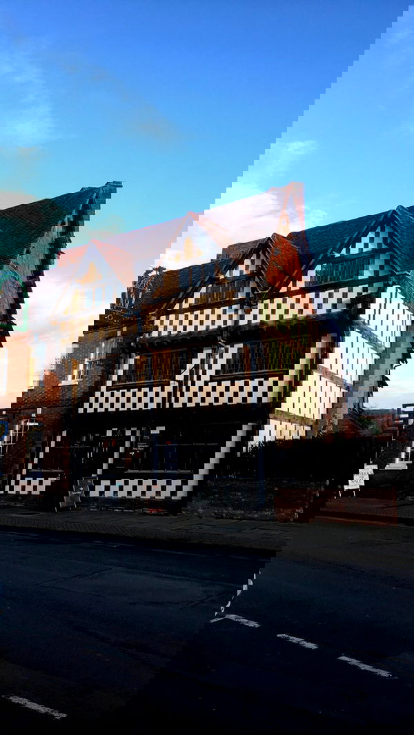 elianachetrit image ~ Altpins