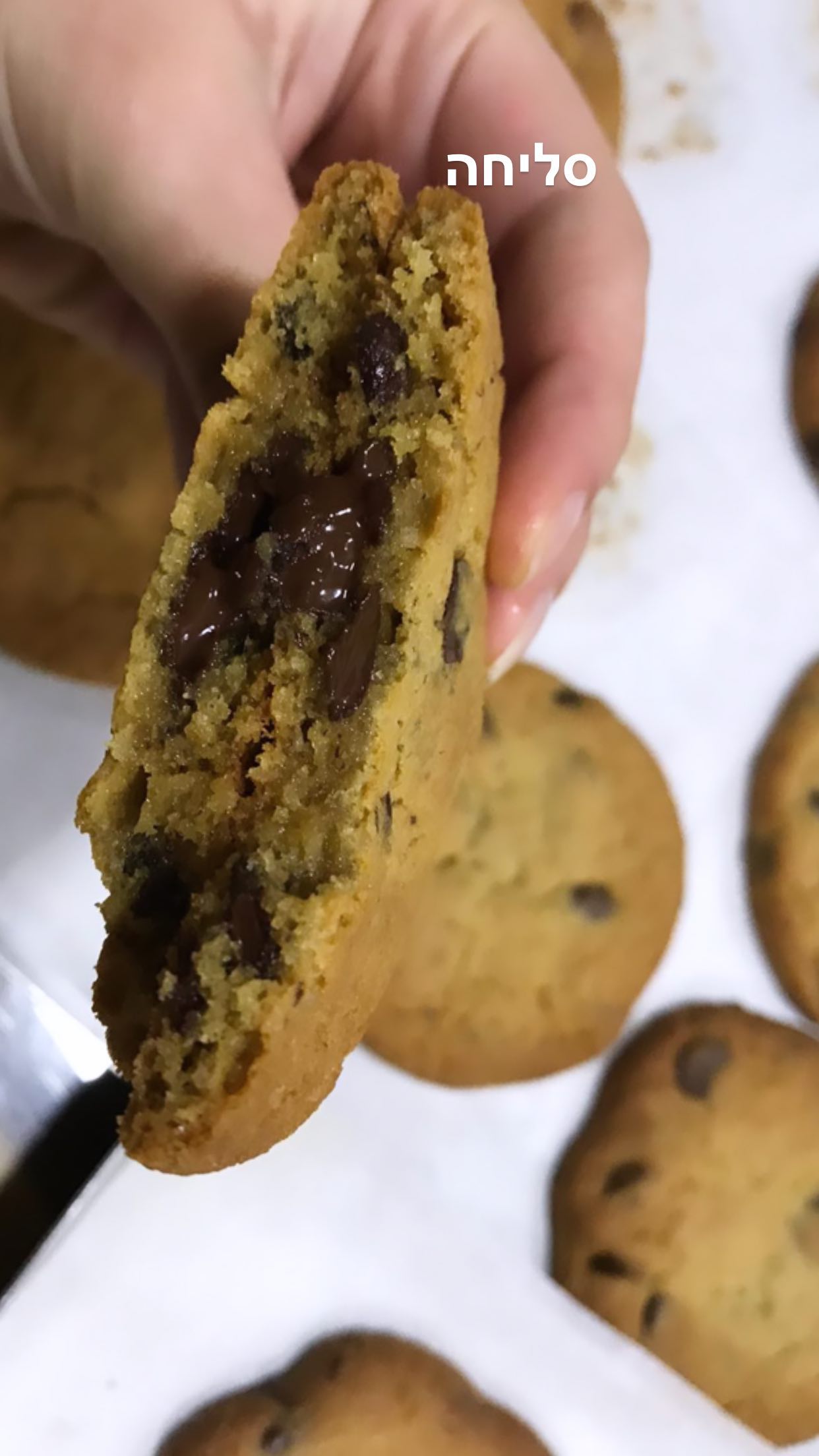 elianachetrit instagram image archive image