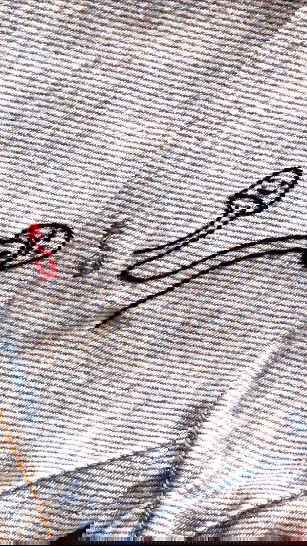 elianachetrit image ~ Altpins