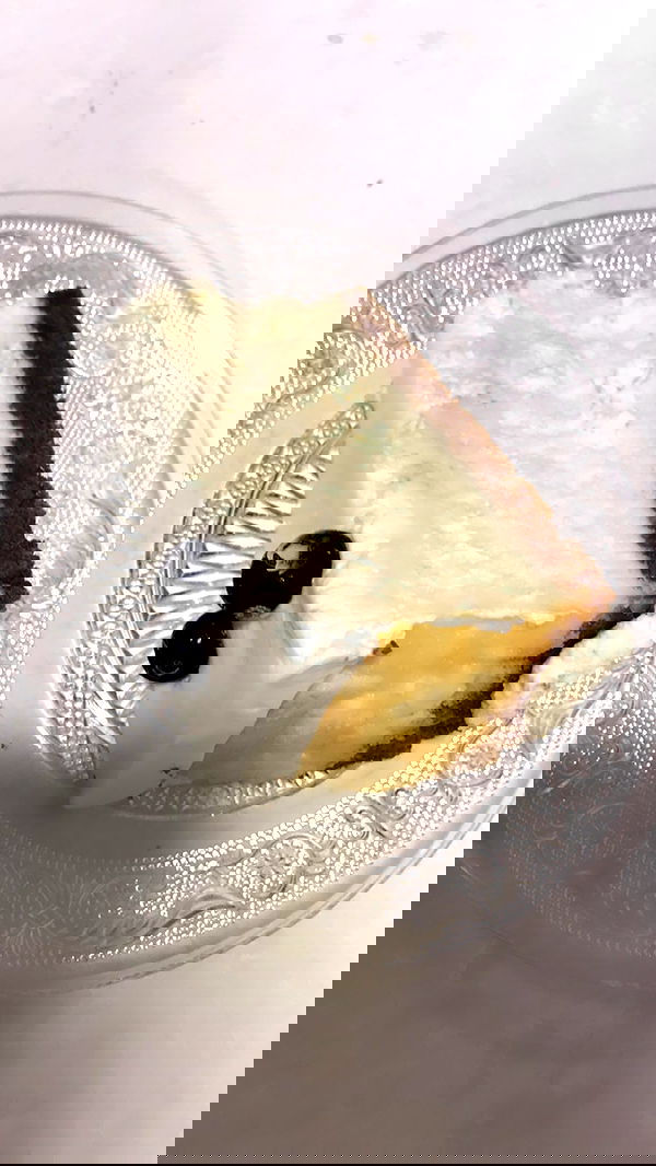 elianachetrit image ~ Altpins