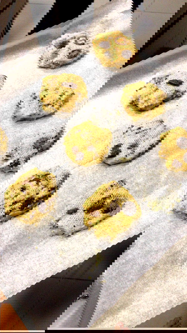 elianachetrit image ~ Altpins