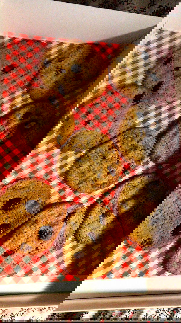 elianachetrit image ~ Altpins