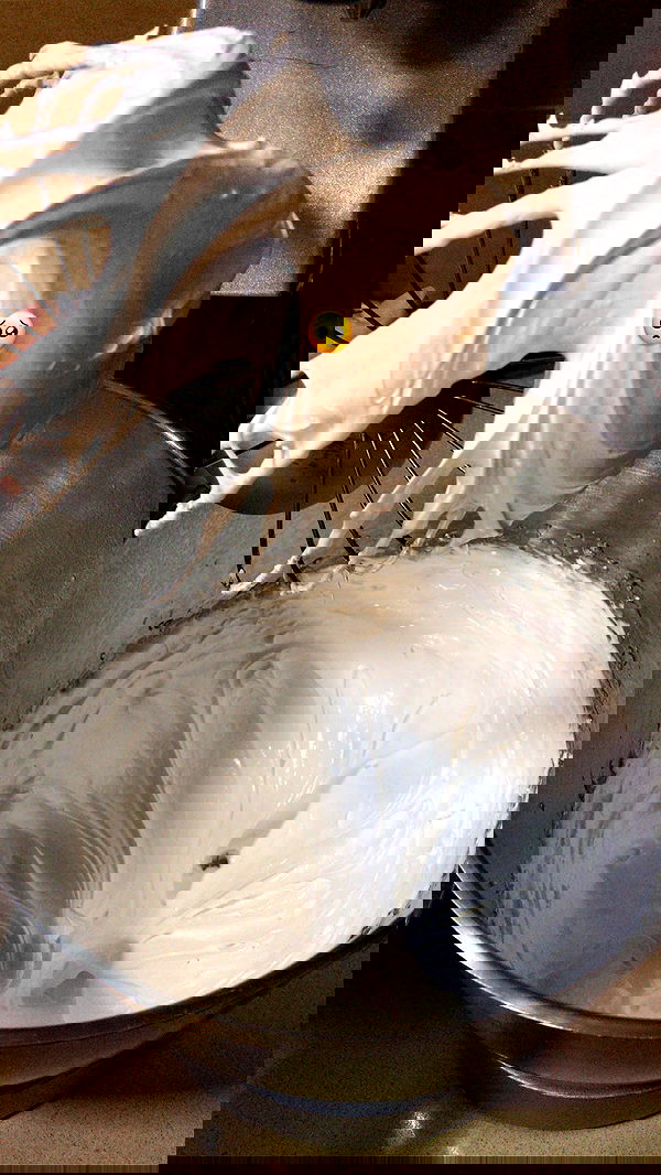 elianachetrit image ~ Altpins