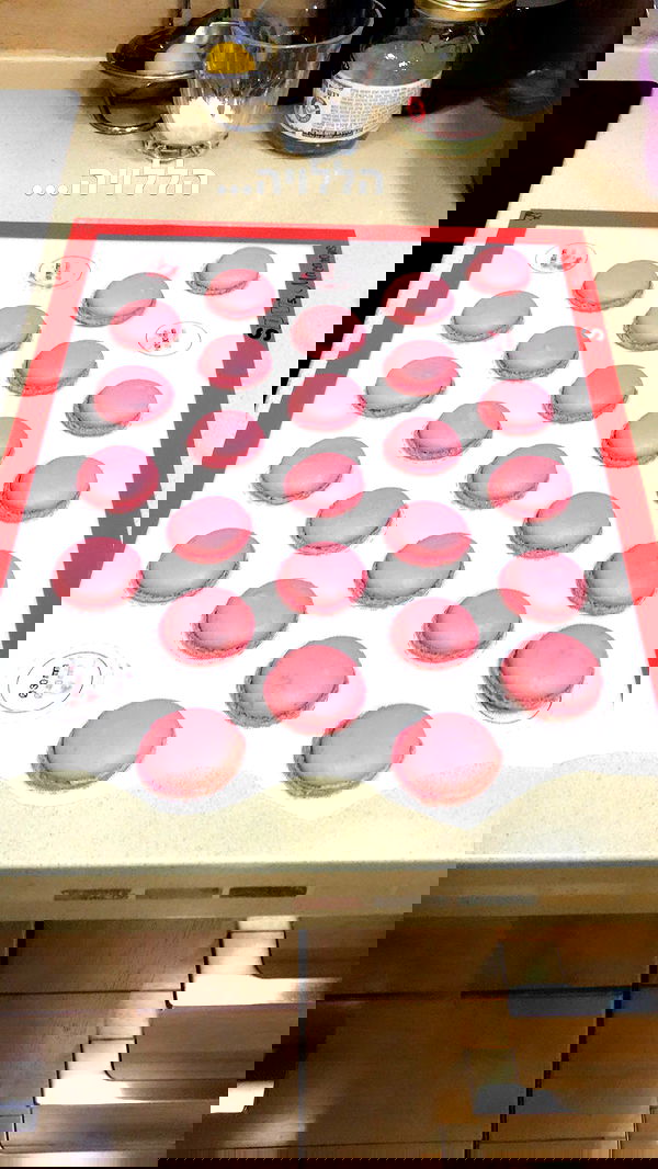 elianachetrit image ~ Altpins