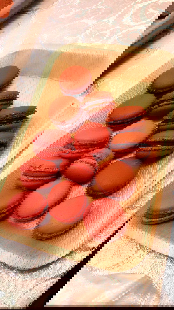 elianachetrit image ~ Altpins