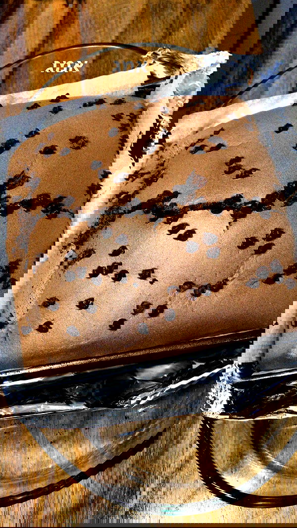 elianachetrit image ~ Altpins