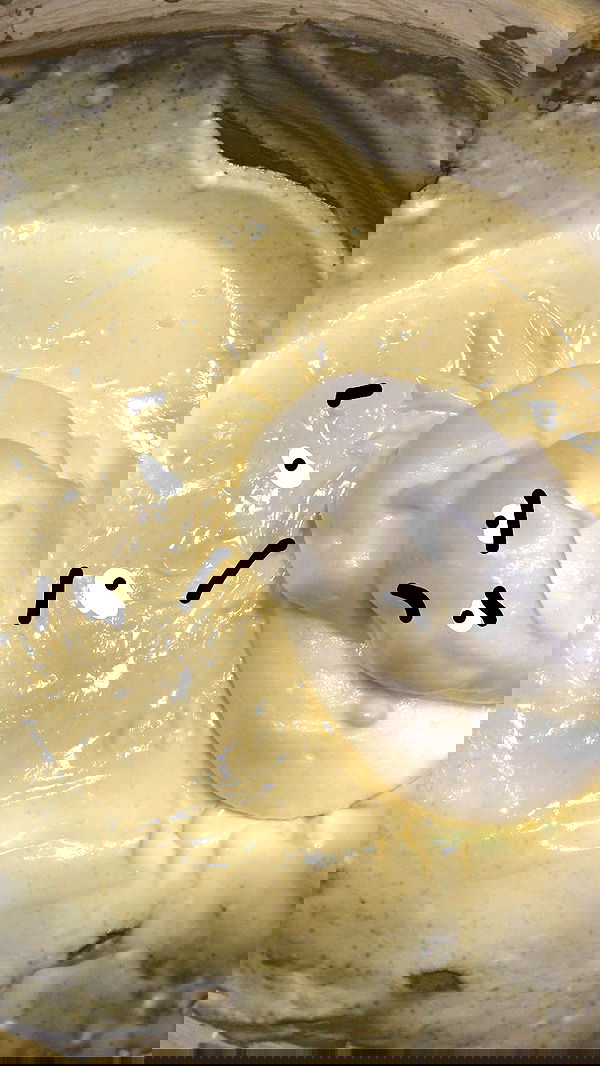 elianachetrit image ~ Altpins