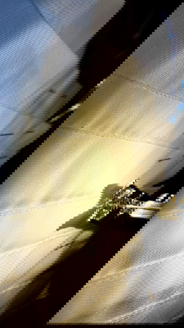 elianachetrit image ~ Altpins