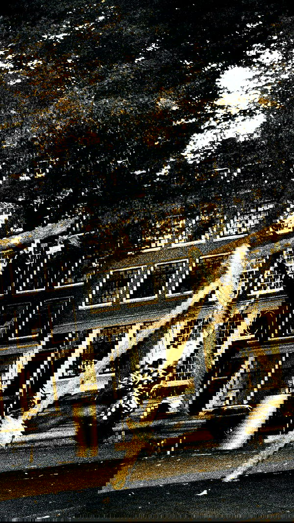 elianachetrit image ~ Altpins