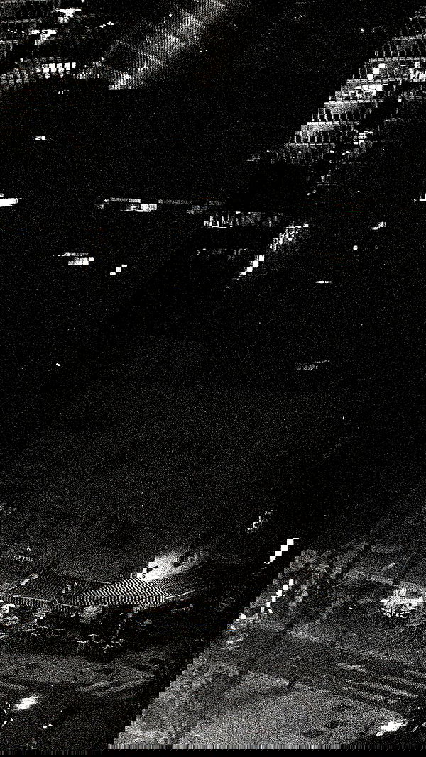 elianachetrit image ~ Altpins