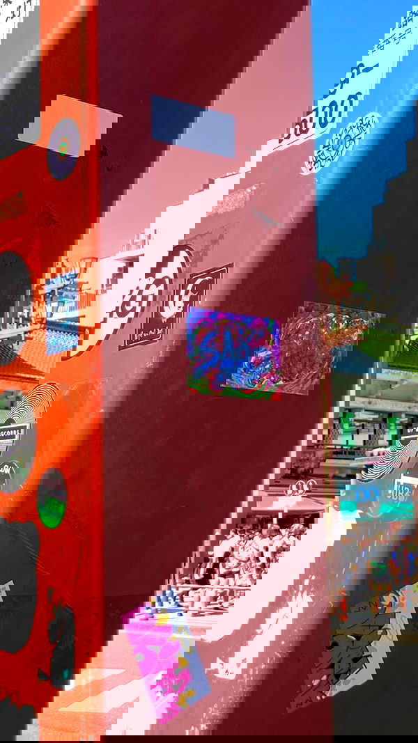 elianachetrit image ~ Altpins