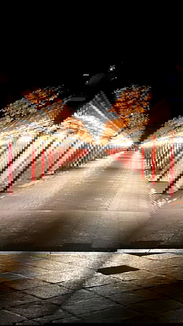 elianachetrit image ~ Altpins