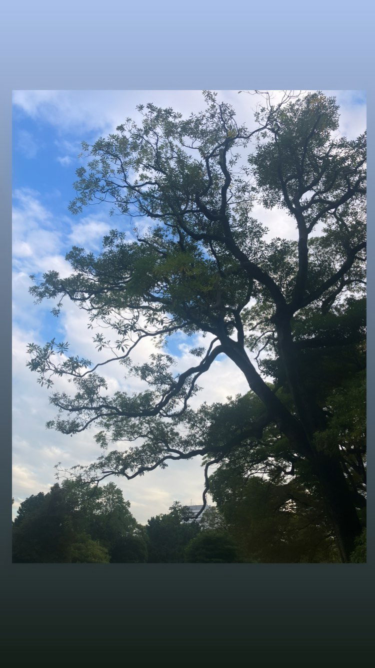 elianachetrit instagram image archive image