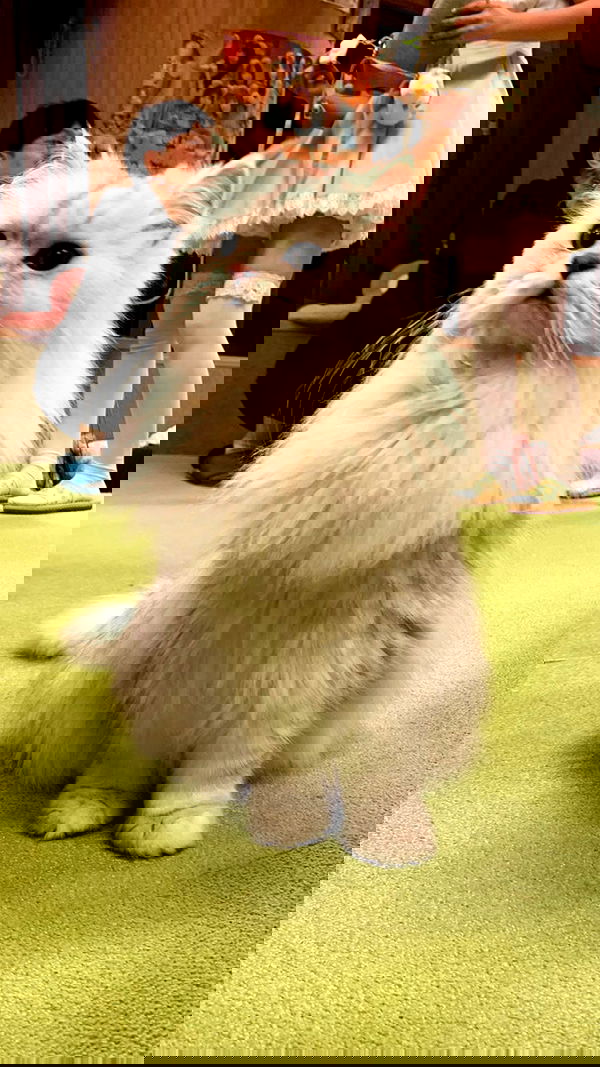 elianachetrit image ~ Altpins