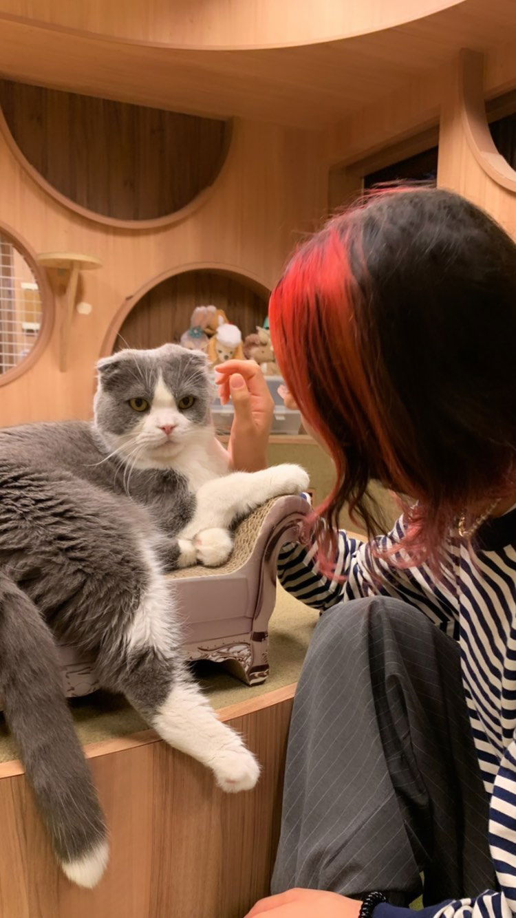 elianachetrit instagram image archive image