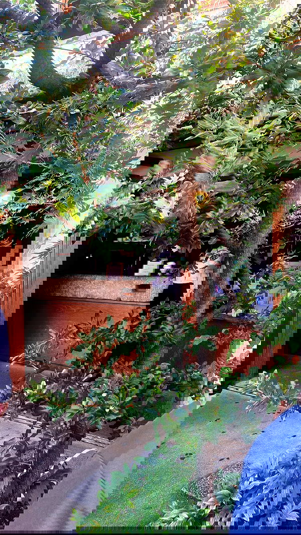 elianachetrit image ~ Altpins