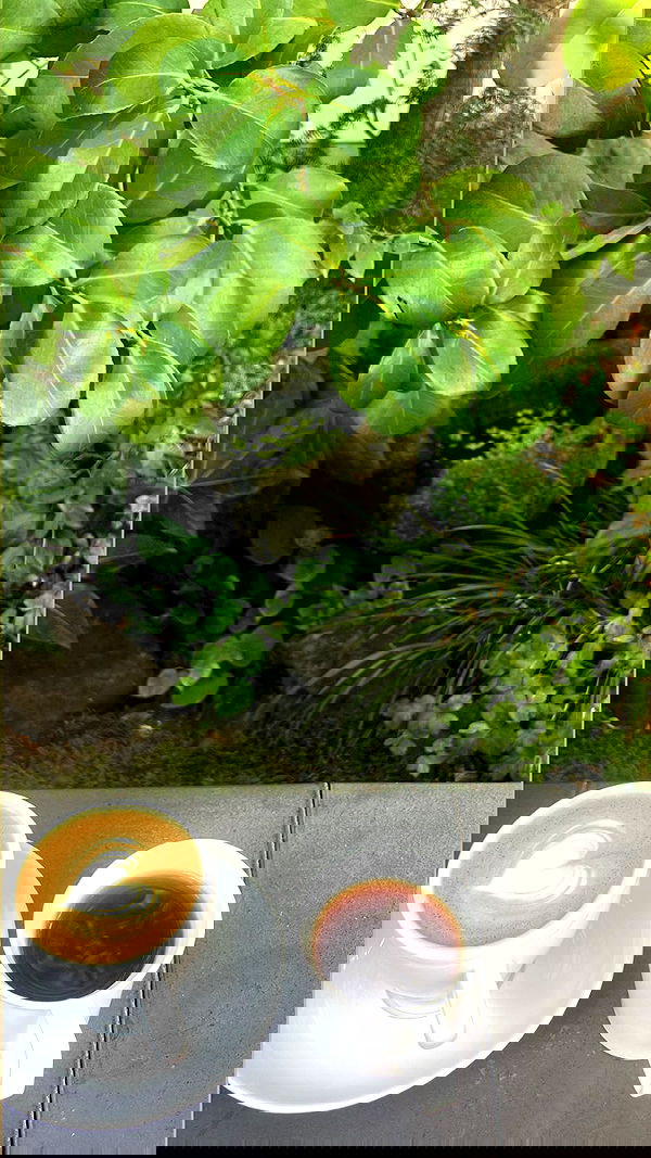 elianachetrit image ~ Altpins