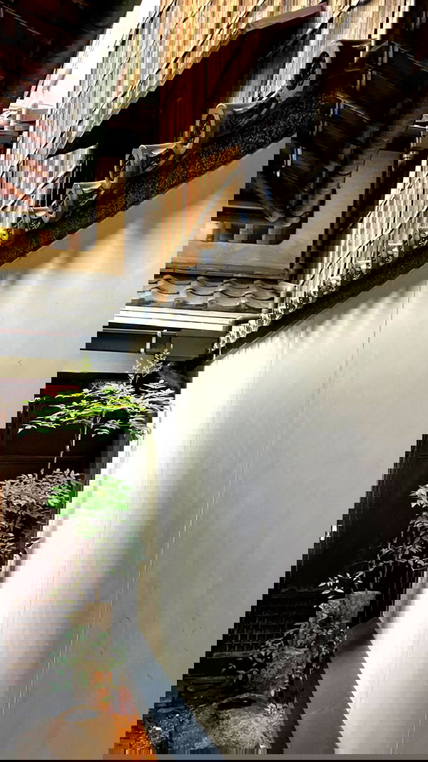 elianachetrit image ~ Altpins