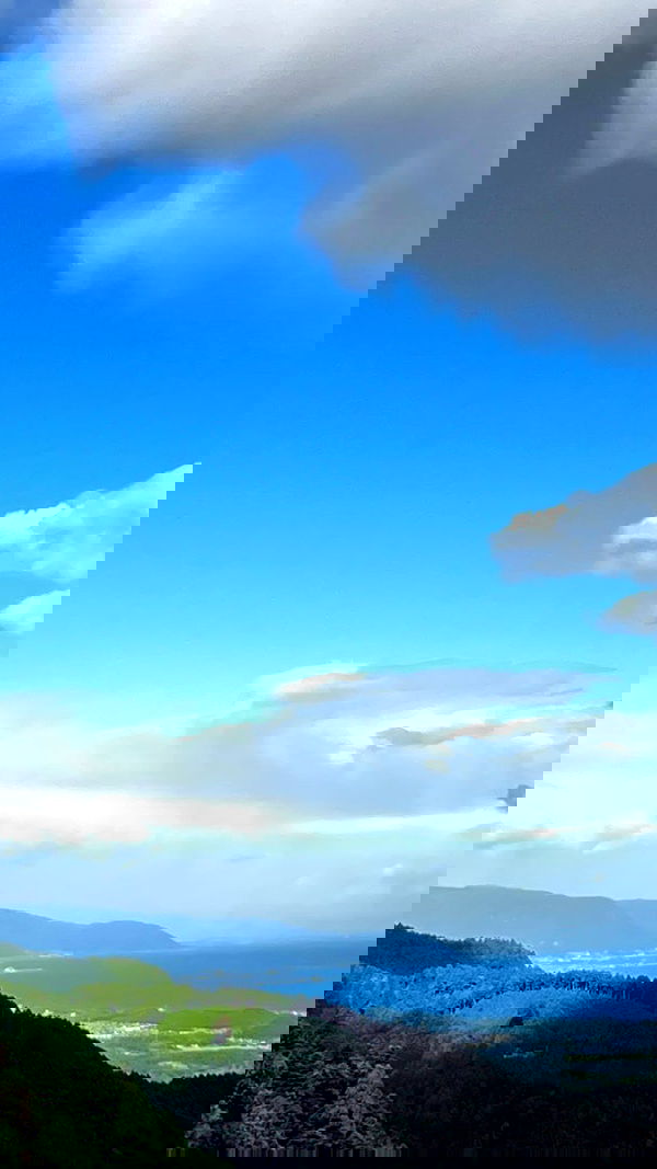 elianachetrit image ~ Altpins