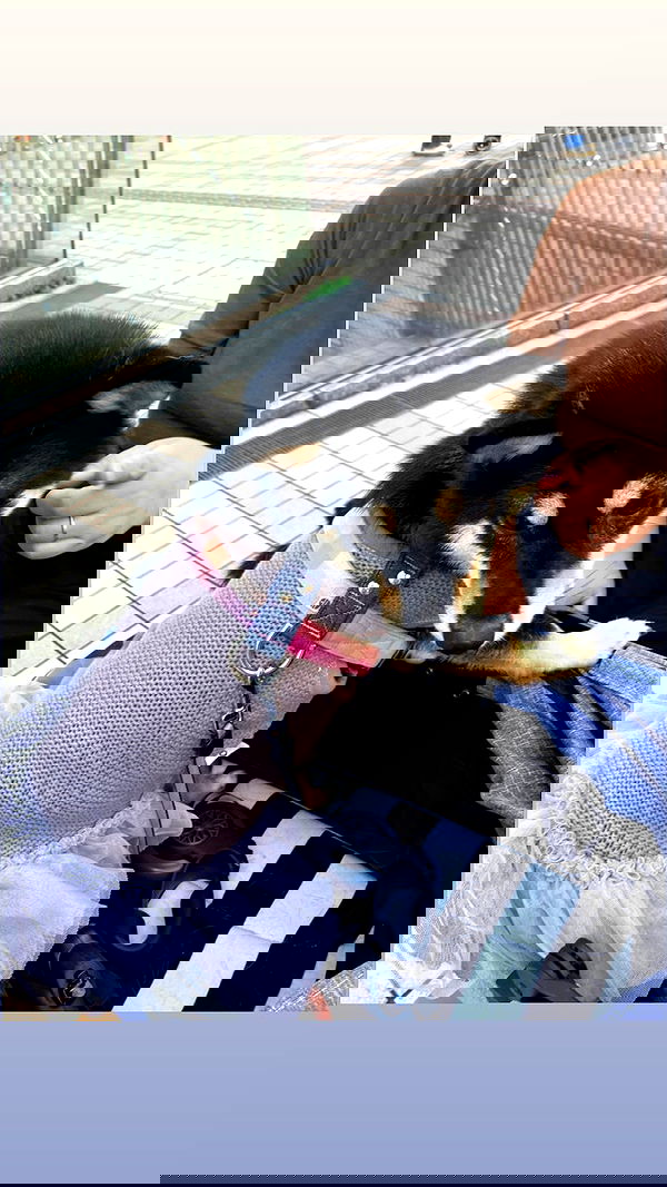 elianachetrit image ~ Altpins