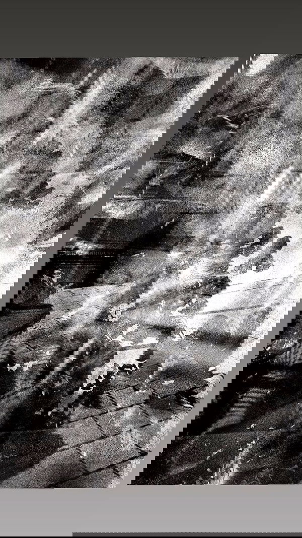 elianachetrit image ~ Altpins