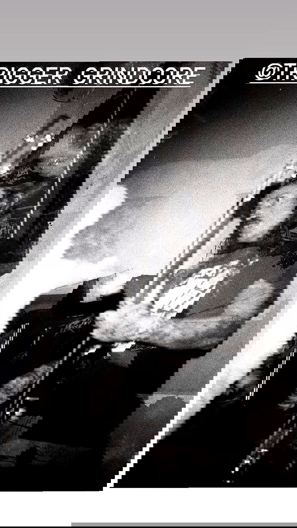 elianachetrit image ~ Altpins