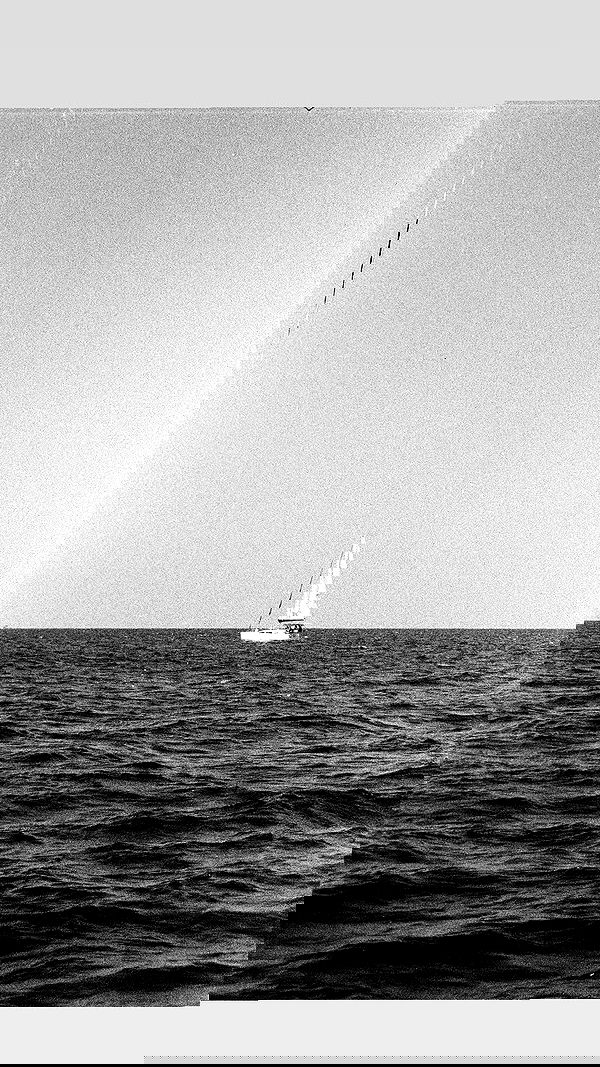 elianachetrit image ~ Altpins