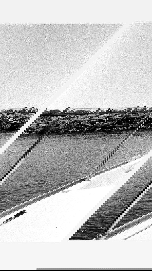 elianachetrit image ~ Altpins