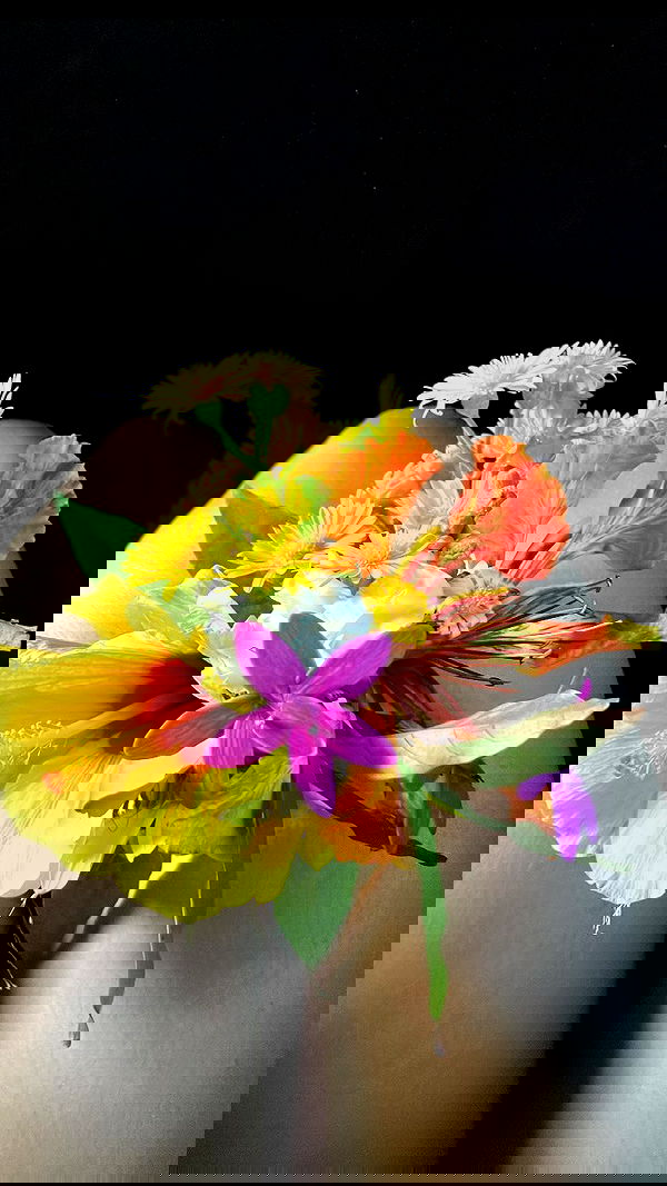 elianachetrit image ~ Altpins