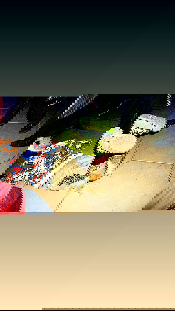 elianachetrit image ~ Altpins