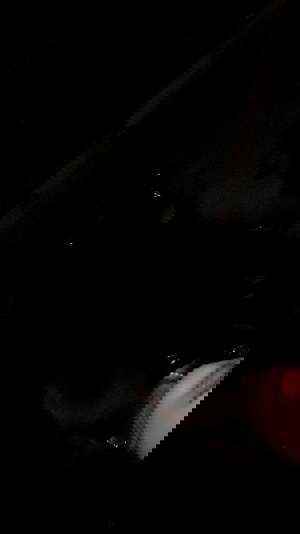 elianachetrit image ~ Altpins