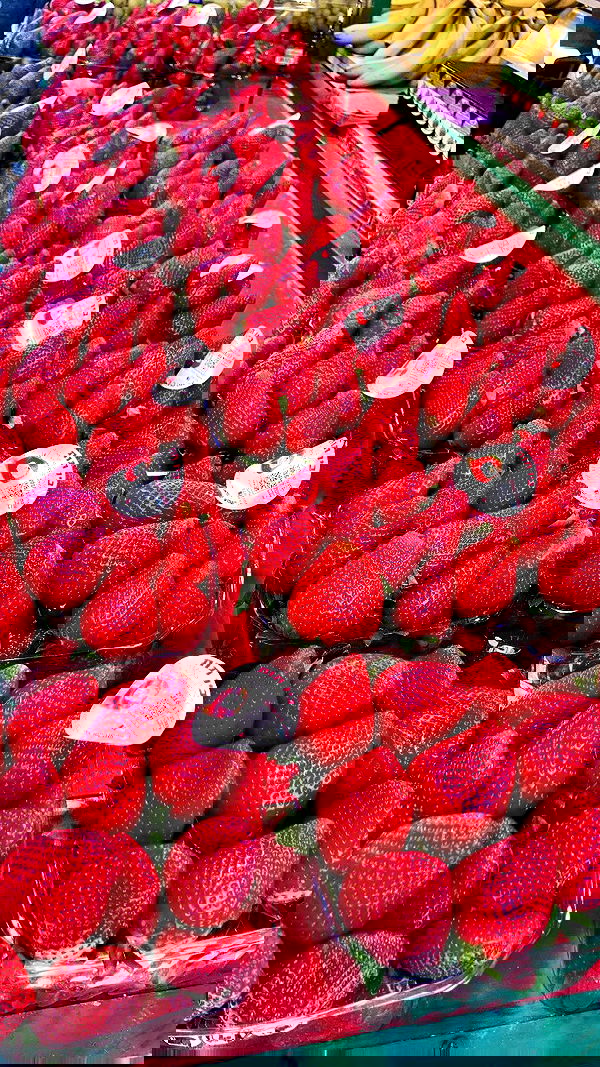 elianachetrit image ~ Altpins