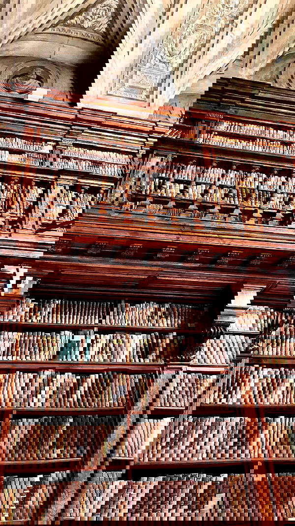 elianachetrit image ~ Altpins