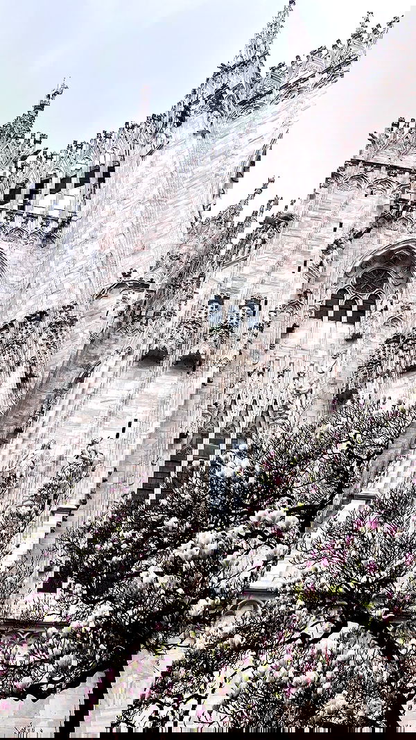 elianachetrit image ~ Altpins