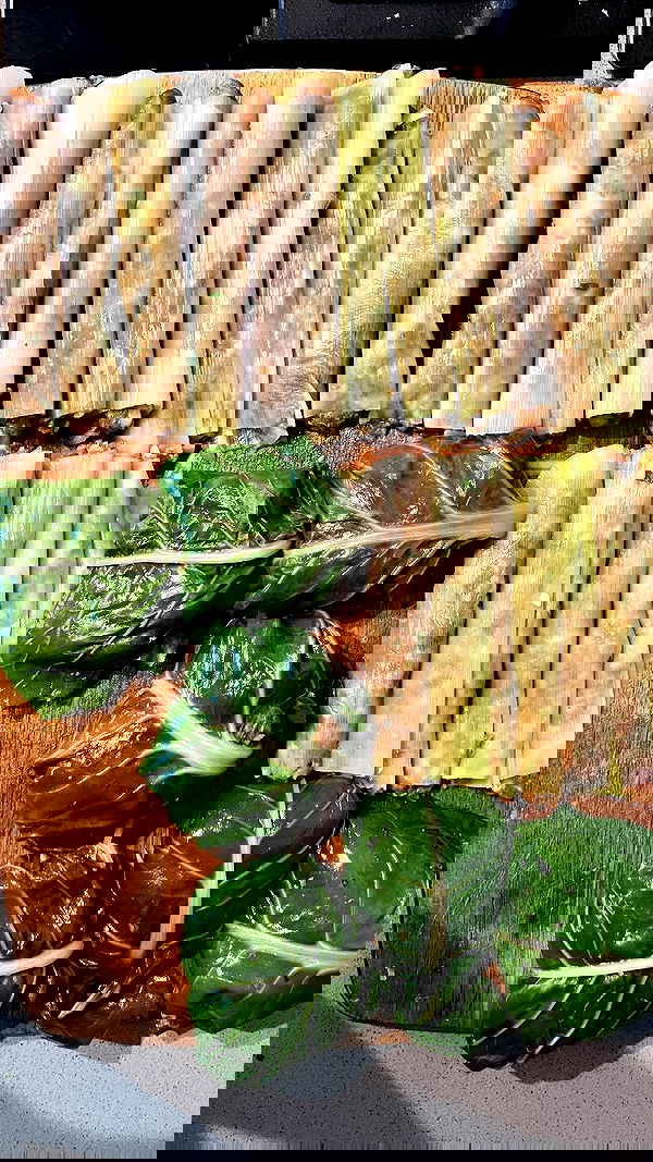 elianachetrit image ~ Altpins