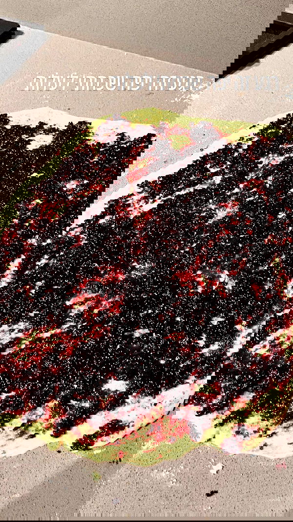 elianachetrit image ~ Altpins