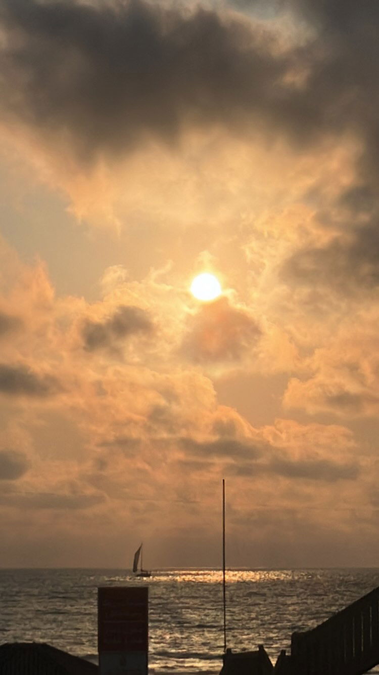 elianachetrit instagram image archive image