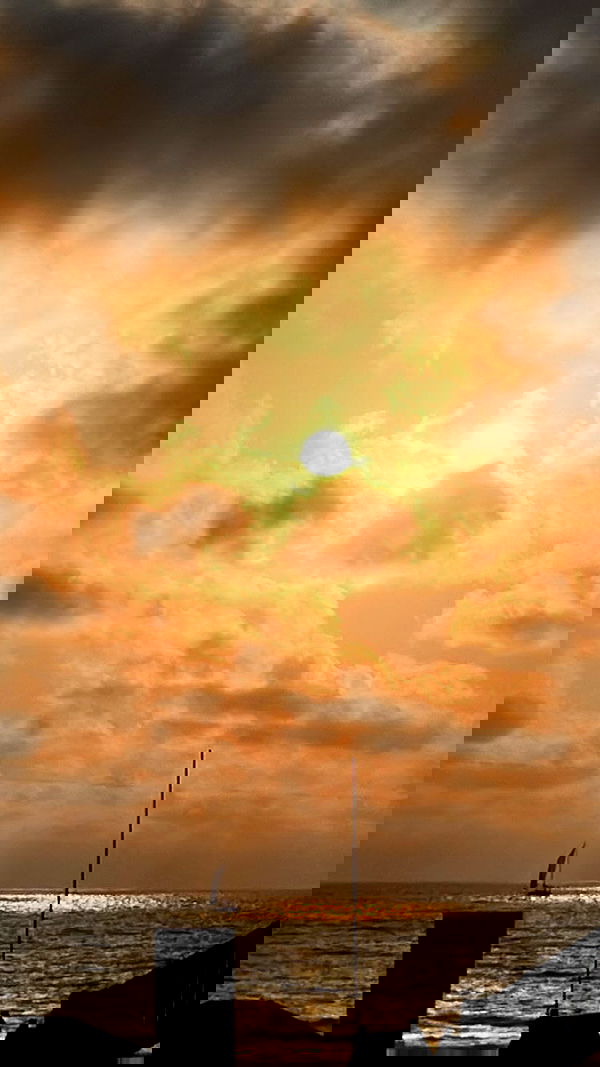 elianachetrit image ~ Altpins