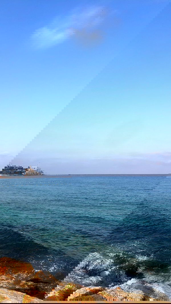 elianachetrit image ~ Altpins