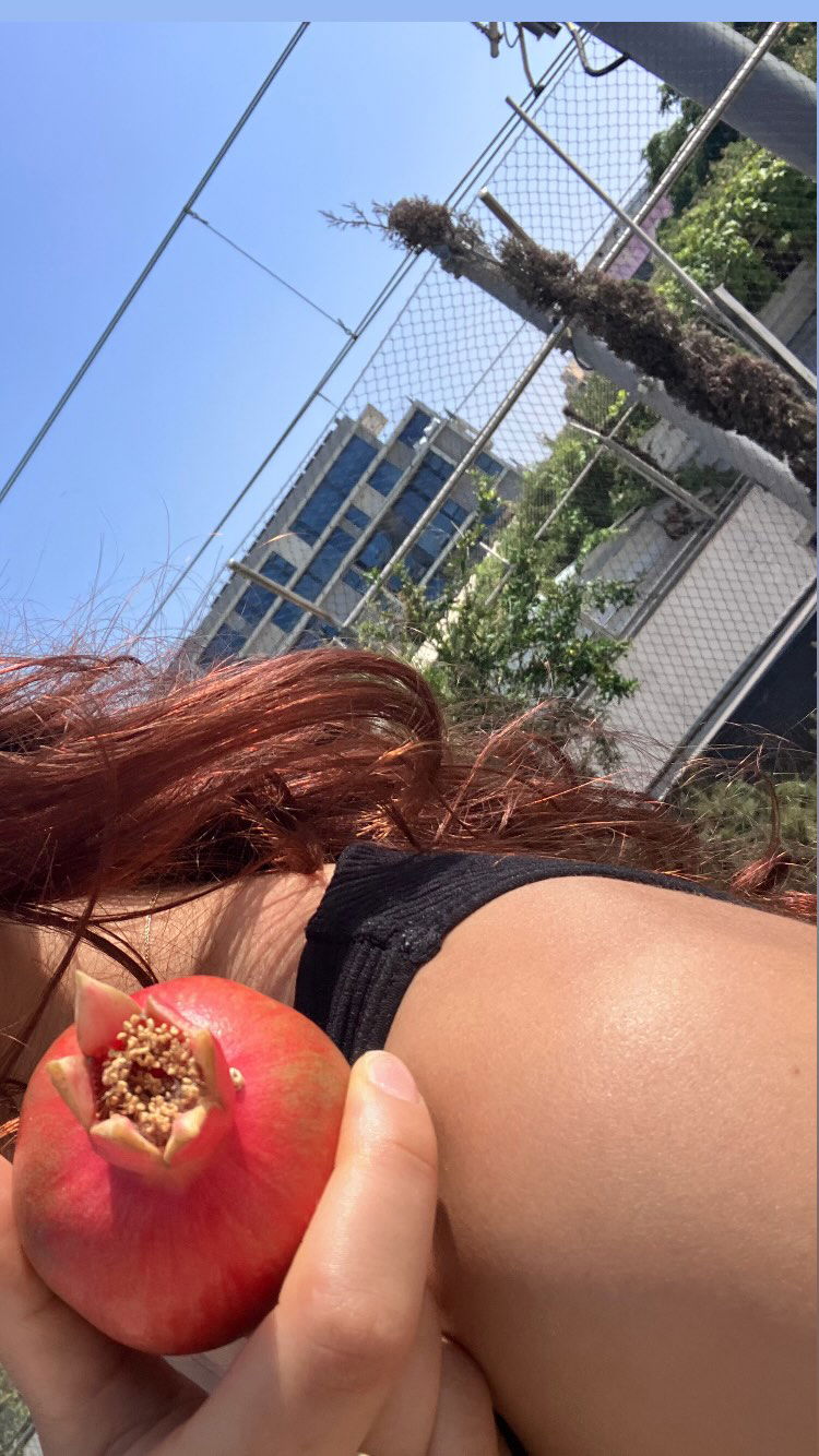 elianachetrit instagram image archive image