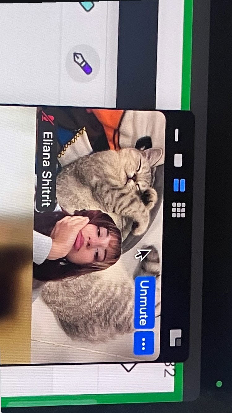 elianachetrit instagram image archive image