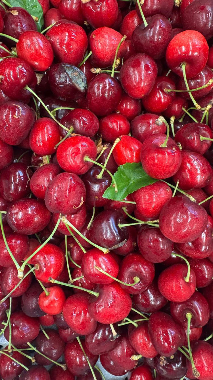 elianachetrit instagram image archive image