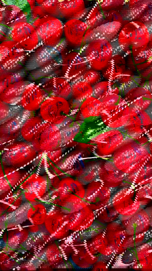 elianachetrit image ~ Altpins