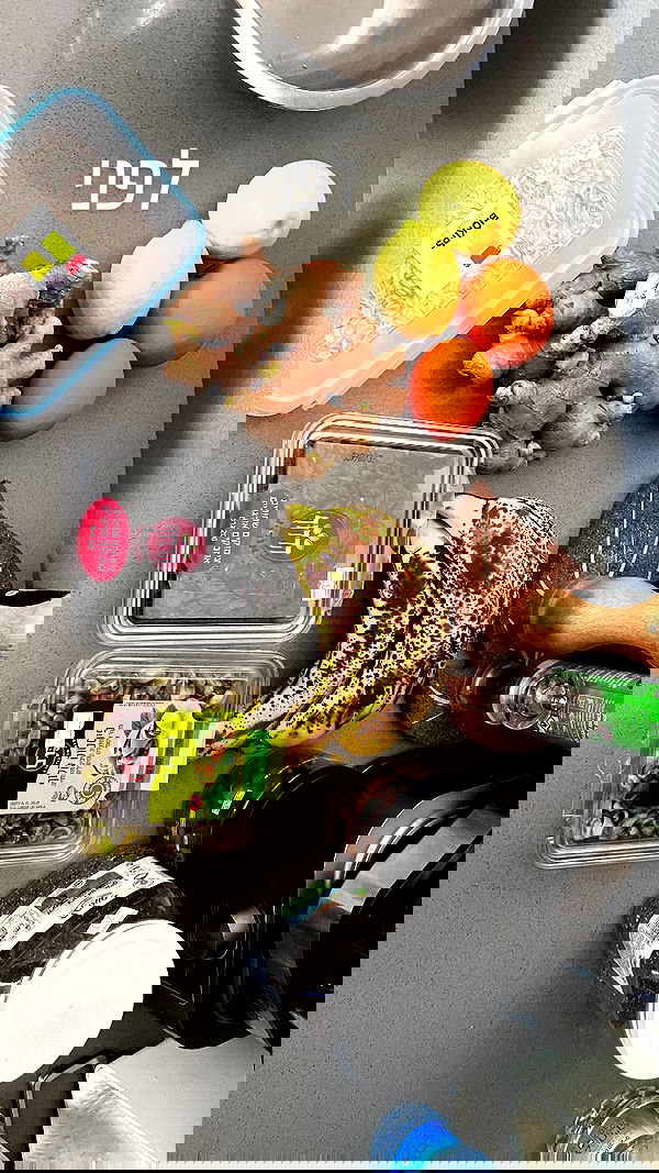 elianachetrit image ~ Altpins