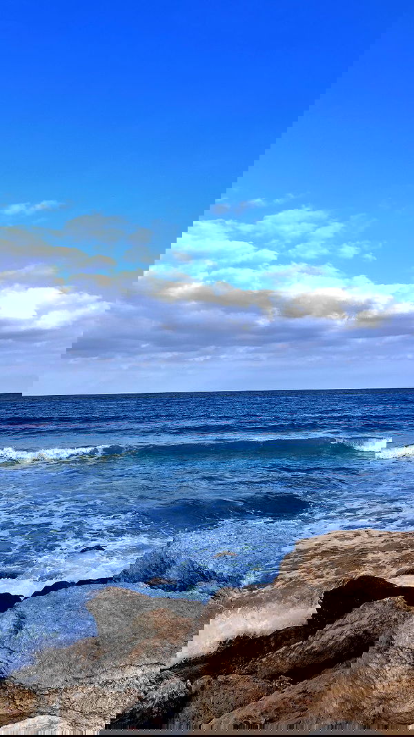 elianachetrit image ~ Altpins