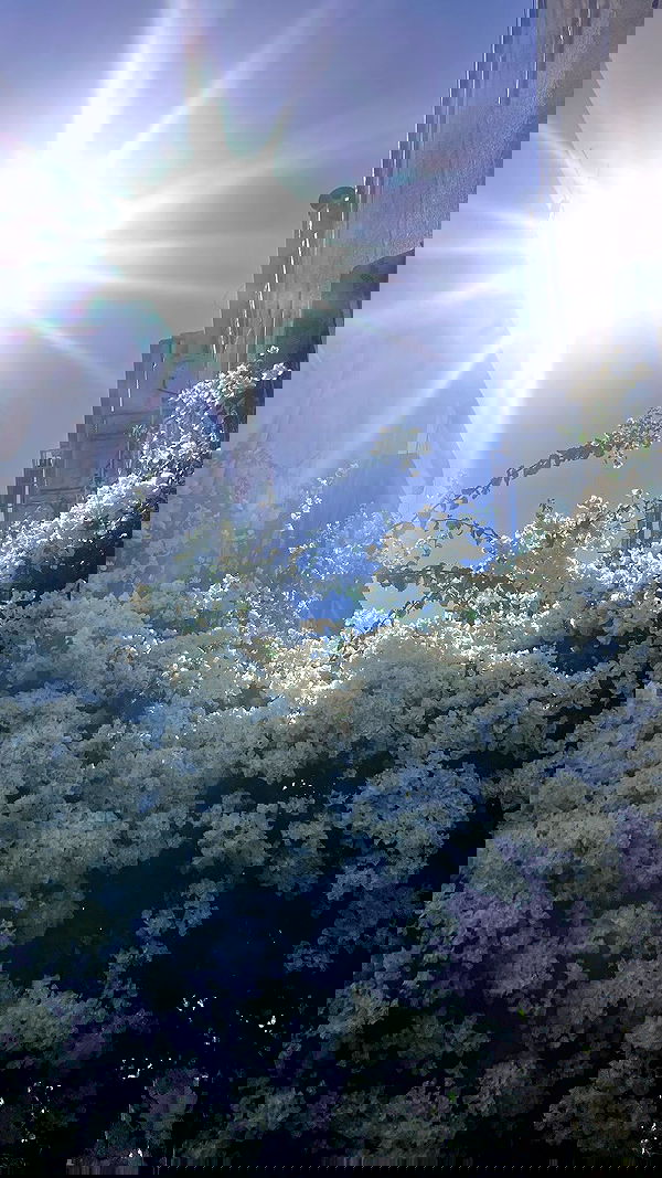 elianachetrit image ~ Altpins