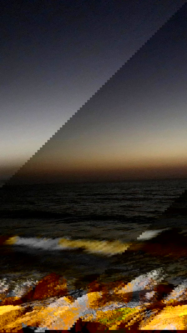 elianachetrit image ~ Altpins