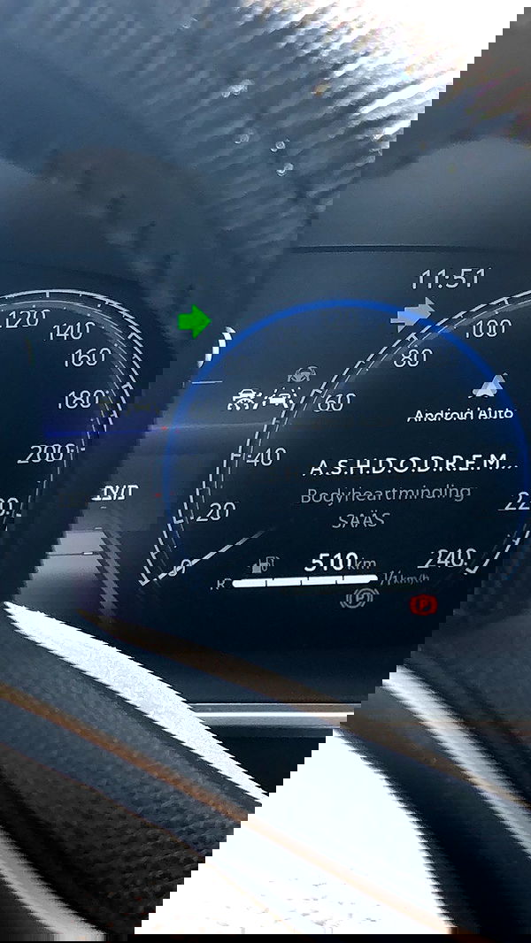 elianachetrit image ~ Altpins