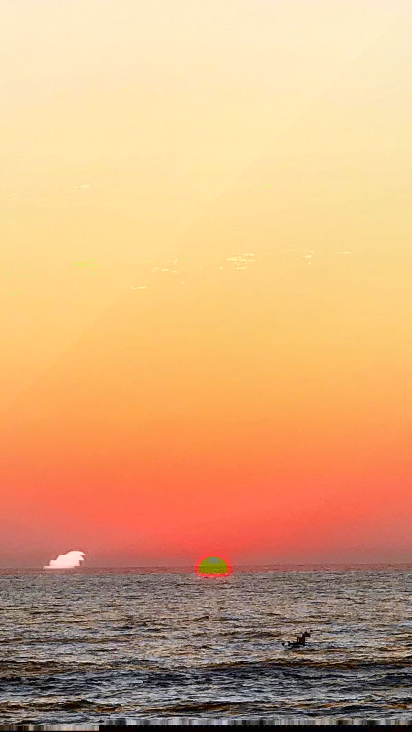 elianachetrit image ~ Altpins