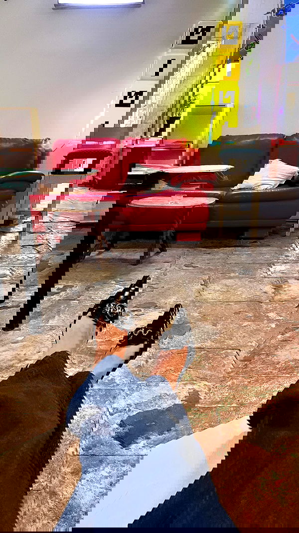 elianachetrit image ~ Altpins